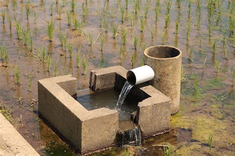 番筧水|水田用水の番水技術の実態と論理